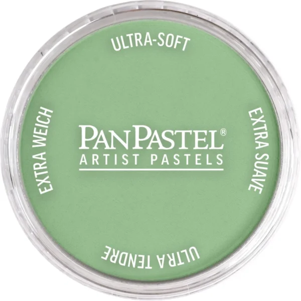 NEW COLOR Chromium Oxide Green Light 660.7 – PanPastel® - Image 2