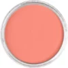 NEW COLOR Vermillion Medium 310.6 – PanPastel®