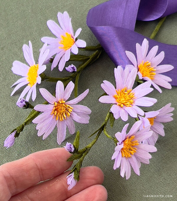 Crepe Paper Aster Materials Bundle