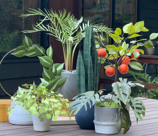 Paper Plants Master Class