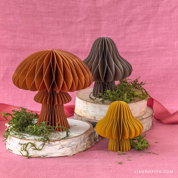 Honeycomb Mushrooms - Digital Download