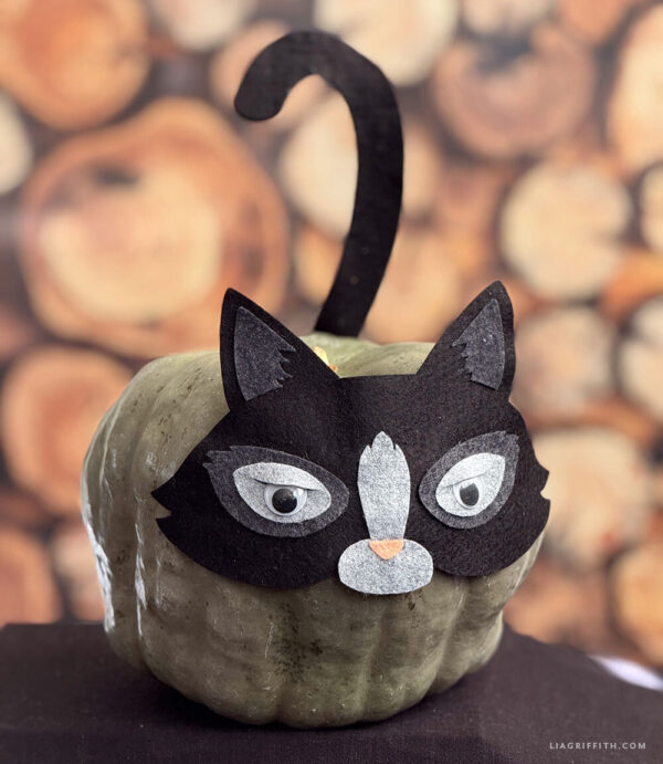 Felt Pumpkin Mask - Felt ONLY - Image 2
