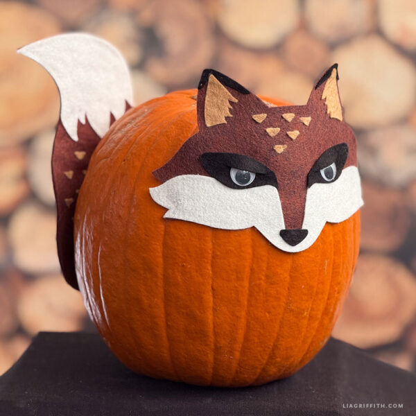 Felt Pumpkin Mask - Felt ONLY - Image 3