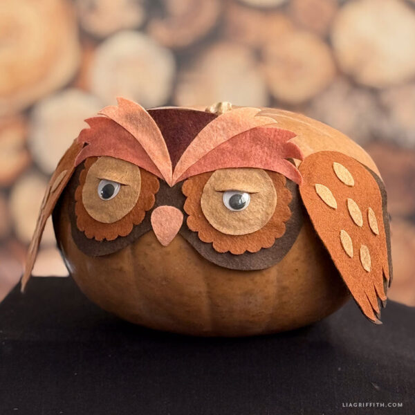 Felt Pumpkin Mask - Felt ONLY - Image 4
