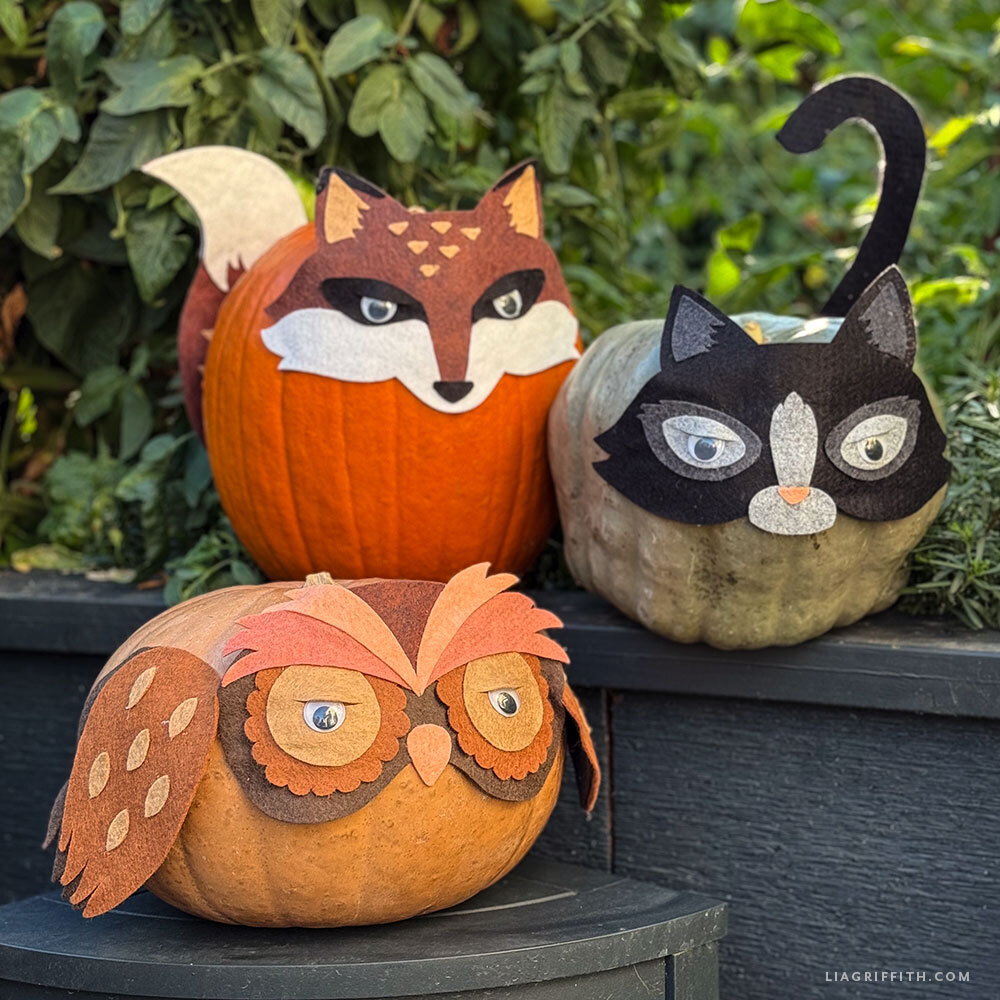 Felt Pumpkin Mask Kit