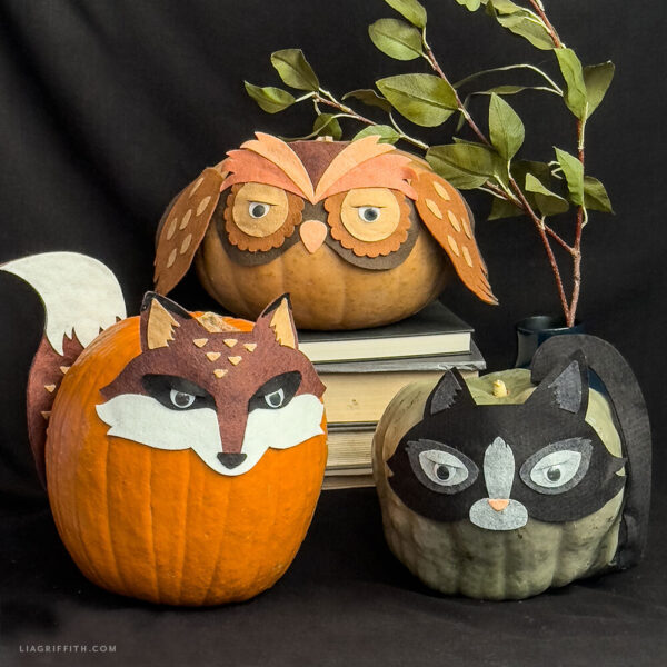 Felt Pumpkin Mask - Felt ONLY - Image 5