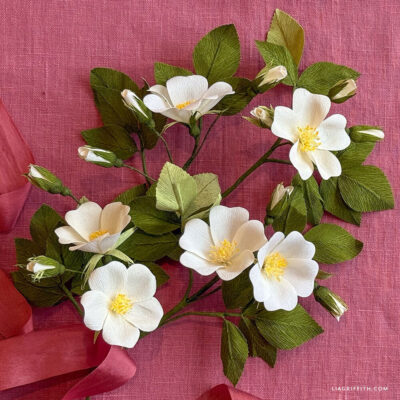 FREE WILD ROSE WORKSHOP!