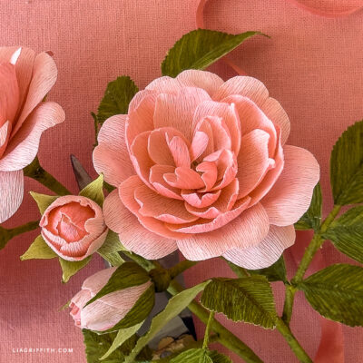 The Lady of the Lake Rose Member Make Materials Bundle